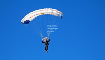 九游体育：中国跳水队包揽世界杯金牌 新生代选手展现绝对统治力