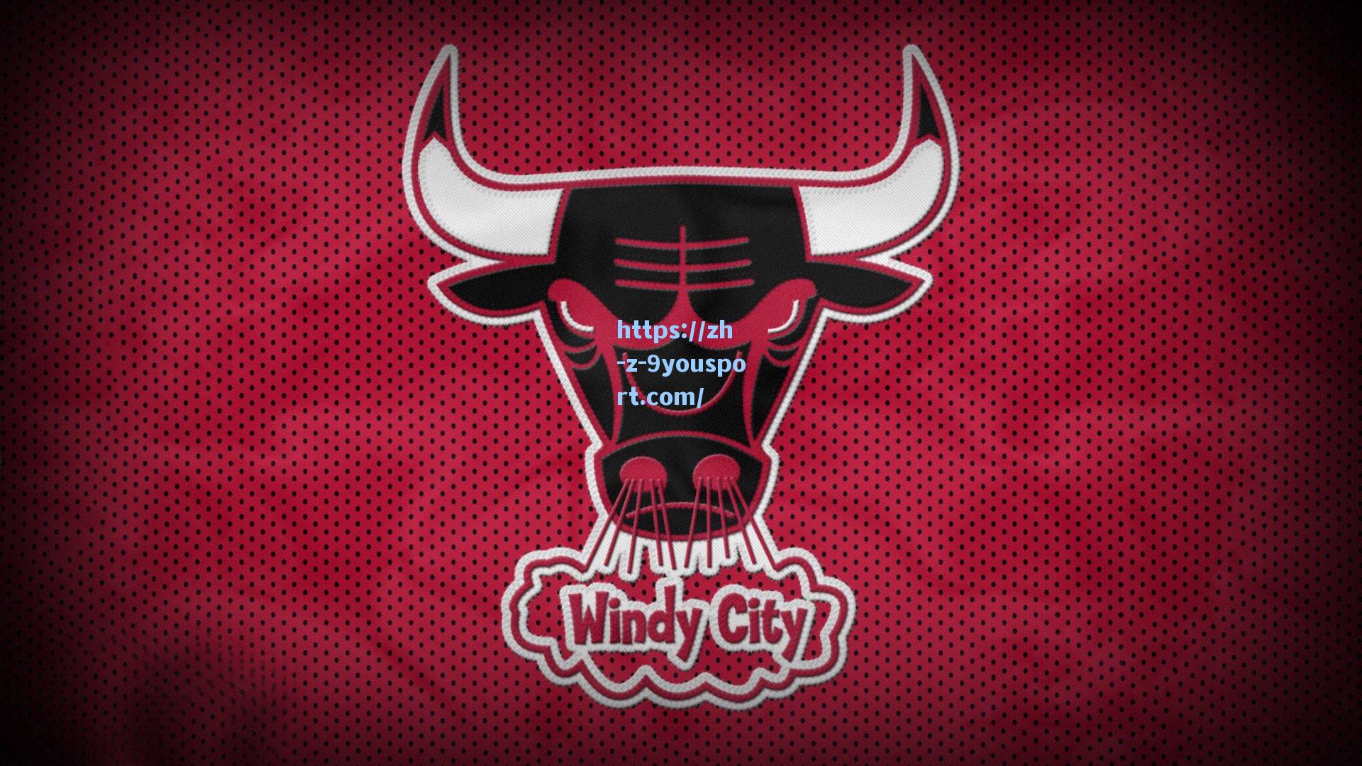 女子体育崛起,从赛场突破到社会变革,全球女性运动员书写新篇章