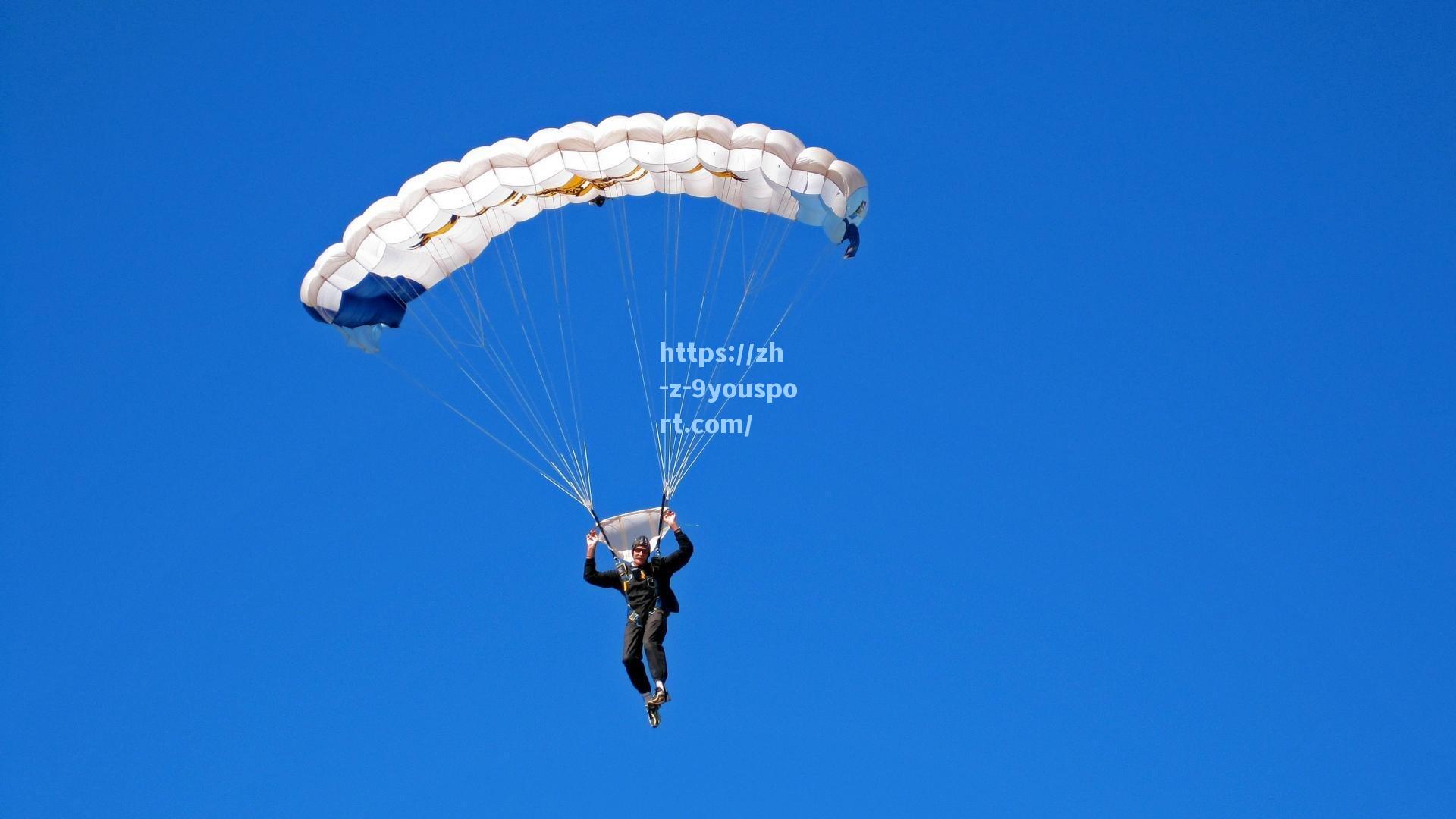 中国跳水队包揽世界杯金牌 新生代选手展现绝对统治力