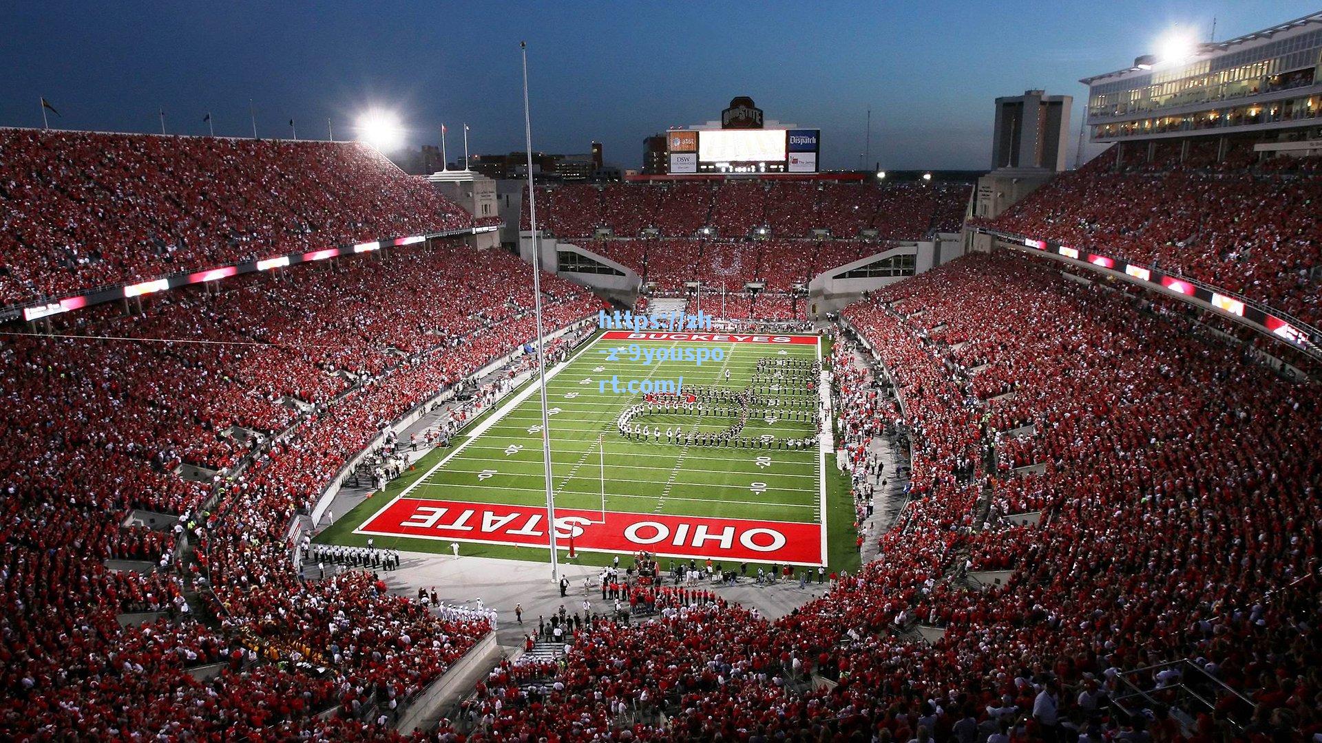 中国游泳队闪耀世锦赛，新星崛起再创辉煌